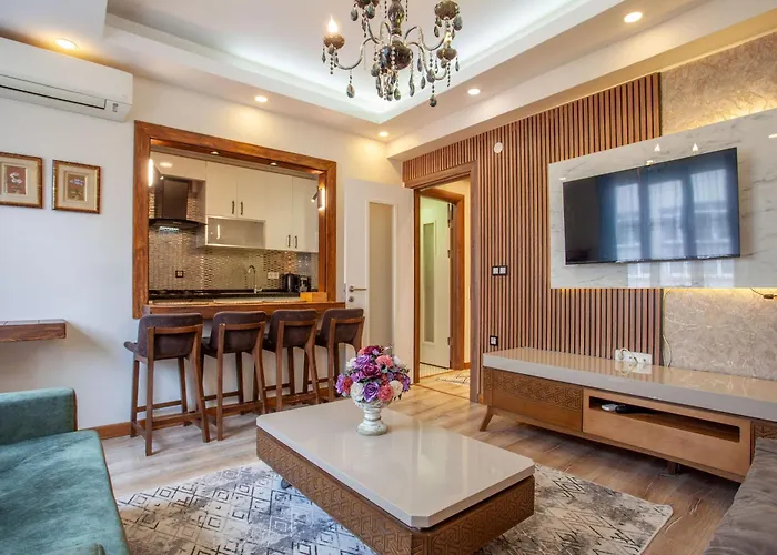 Mutlu Flat Istanbulská provincie